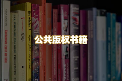 公共版权书籍